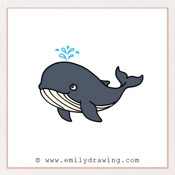 Preview of Humpback Whale drawing
